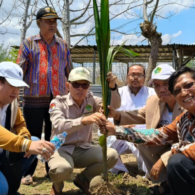 Dirjen Bimas Hindu, Rektor IAHN Gde Pudja, dan Ketum PSN Tanam Pohon Kelapa sebagai Implementasi Ekoteologi Asta Protas