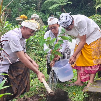Penanaman Ratusan Pohon di Pura Tap Sai Jadi Simbol Pelestarian Alam Bali