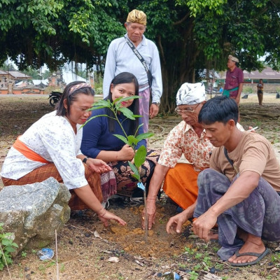 Penanaman Bibit Mangga dan Alpukat pada Hari Suci Tumpek Uduh Jadi Simbol Kepedulian terhadap Alam dan Masa Depan