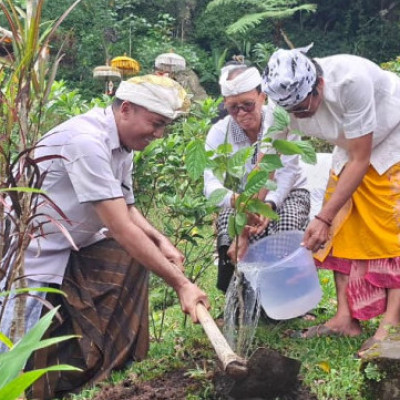 Implementing Hindu Ecotheology: Directorate General for Hindu Community Guidance and Regional Office of the Ministry of Religious Affairs of Bali Province Hold 'Green Dharma' Action at Pura Tap Sai as Manifestation of Tri Hita Karana