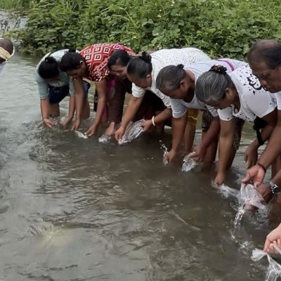 Wujudkan Ekoteologi Hindu, Bimas Hindu Papua Barat Gulirkan Program Green Dharma dan BISMA